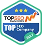 Named #1 Digital Agency in Many Countries! - 宝威体育